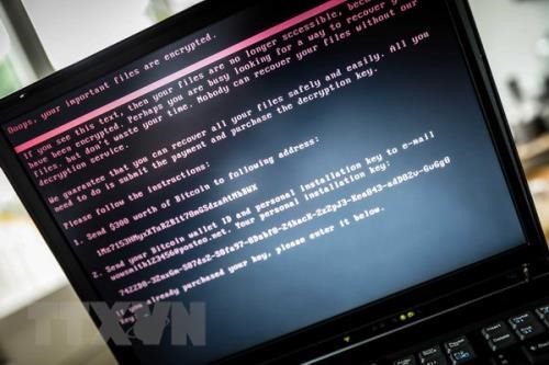 Nearly 1,500 cyber attacks hit Vietnam’s information systems